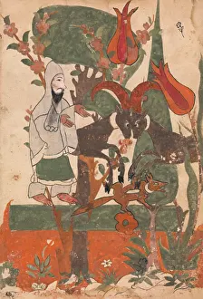 Kalila: The Fox and the Battling Rams Observed by the