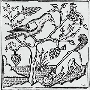 Litrature: The fox & the crow