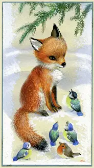 Tits: Fox cub, blue tits and robin in the snow