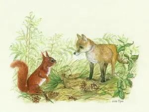 Cones: Fox cub surprising a red squirrel