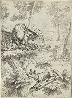 Outlines: The Fox and the Eagle