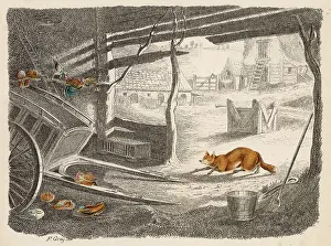 Intent: FOX IN FARMYARD C1870