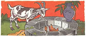 Writings: Fox and a Goat
