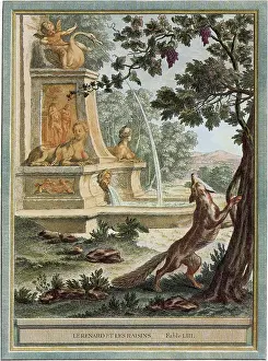 Grab: Fox and Grapes