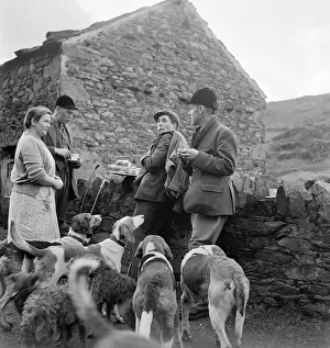 Foxhounds: Fox Hunt Break