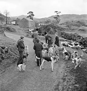 Borrowdale: Fox Hunt Break