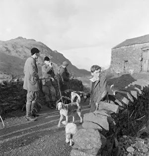 Packhorse: Fox Hunt Break