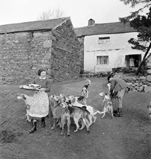 Foxhounds: Fox Hunt Break