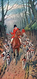 Anticipation: FOX HUNT GOING TO MEET