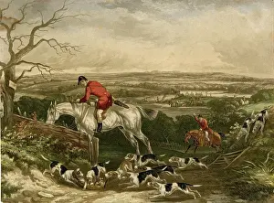 Foxhounds: Fox hunting
