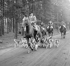 Hunts: Fox hunting