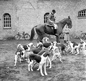 Hunts: Fox hunting