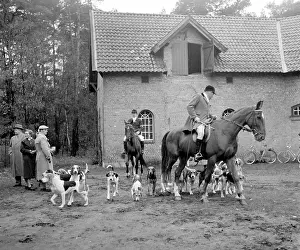 Hunts: Fox hunting