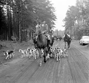 Hunts: Fox hunting