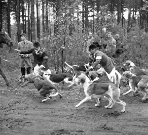 Hunts: Fox hunting