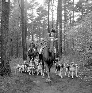 Hunts: Fox hunting