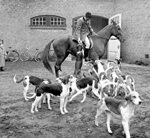 Hunts: Fox hunting