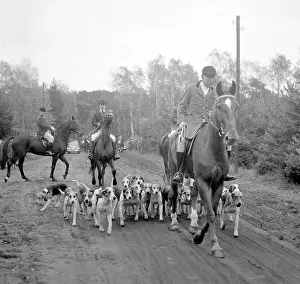 Hunts: Fox hunting