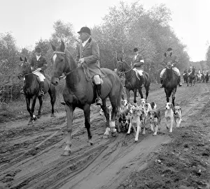 Hunts: Fox hunting