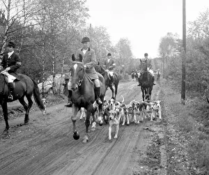 Hunts: Fox hunting