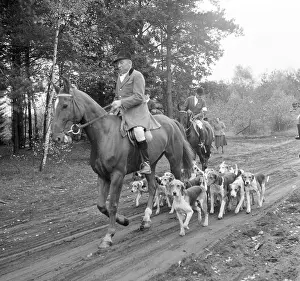 Hunts: Fox hunting