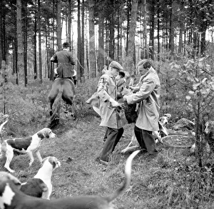 Hunts: Fox hunting