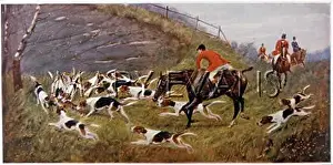 Reynard: FOX HUNTING/THE KILL