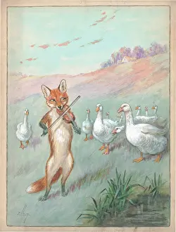 Ellam: Fox playing the violin to geece