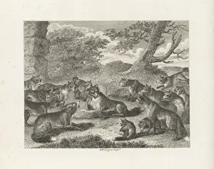 John Wootton: The Fox at the Point of Death