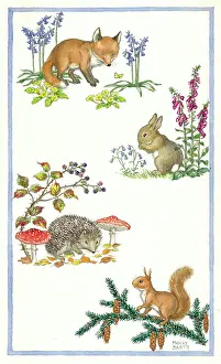 Brambles: Fox, Rabbit, Hedgehog and Squirrel