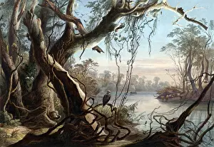 Tributary: Fox River, Tributary of the Wabash River, 1830s