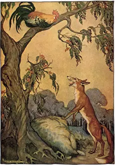Milo: Fox and Rooster in Tree