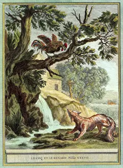 Rooster: Fox and Rooster in Tree