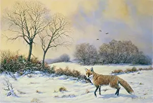 Hurle: Fox in a Snow-covered Landscape