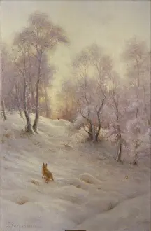 Farquharson: Fox in snow at sunset