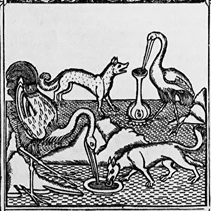 Litrature: The fox & the stork