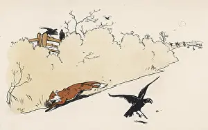 Desperation: The fox tries to escape