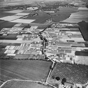 Co Operative: Foxash Estate EAW