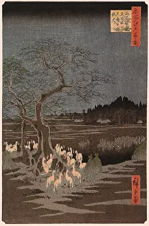 Foxes: Foxfires, by Hiroshige