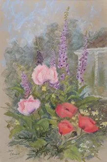 Foxgloves: Foxgloves and Pink and Red Poppies