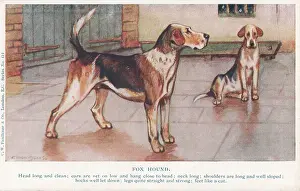 Foxhounds: Foxhound