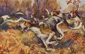 Foxhounds: Foxhounds