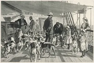 Foxhounds: Foxhounds sent to India