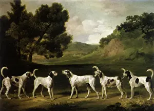 1762: Five Foxhounds, by Stubbs