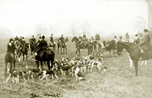 Norton: Foxhunting