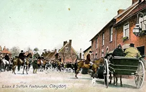 Foxhounds: Foxhunting, Claydon, Suffolk