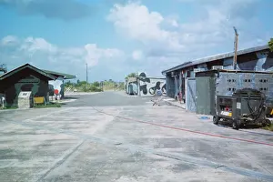Iguana: Foxy-Golf at Belize