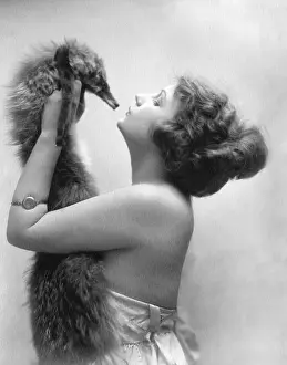 Foxy: Foxy lady