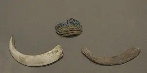 Tusks: Fragment of a small perfume phial
