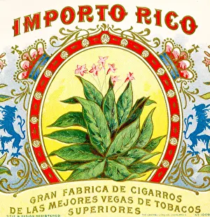 Rampant: Framed Tobacco Plant